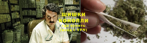 гидра Мегион