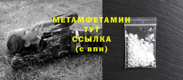 гидра Мегион