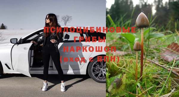гидра Мегион
