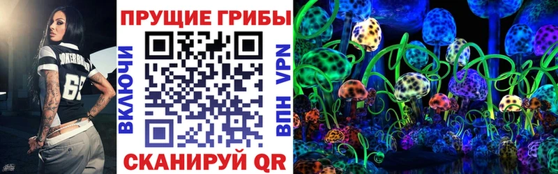 Галлюциногенные грибы Psilocybine cubensis  Ряжск 
